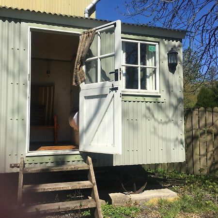 Posh Huts Farmstay Falstone Zewnętrze zdjęcie