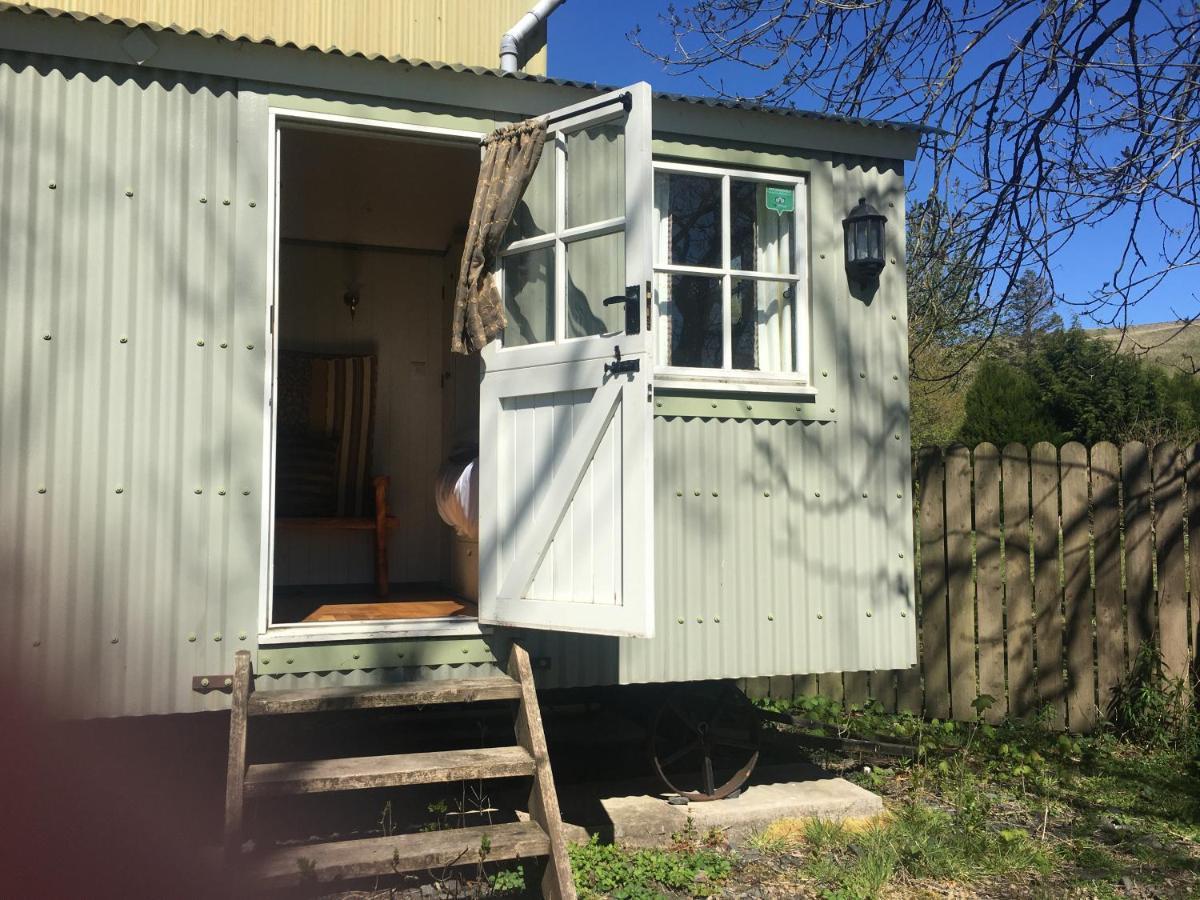 Posh Huts Farmstay Falstone Zewnętrze zdjęcie