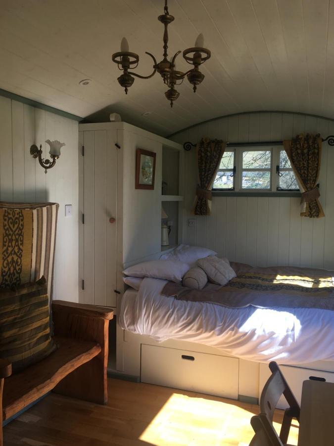 Posh Huts Farmstay Falstone Zewnętrze zdjęcie