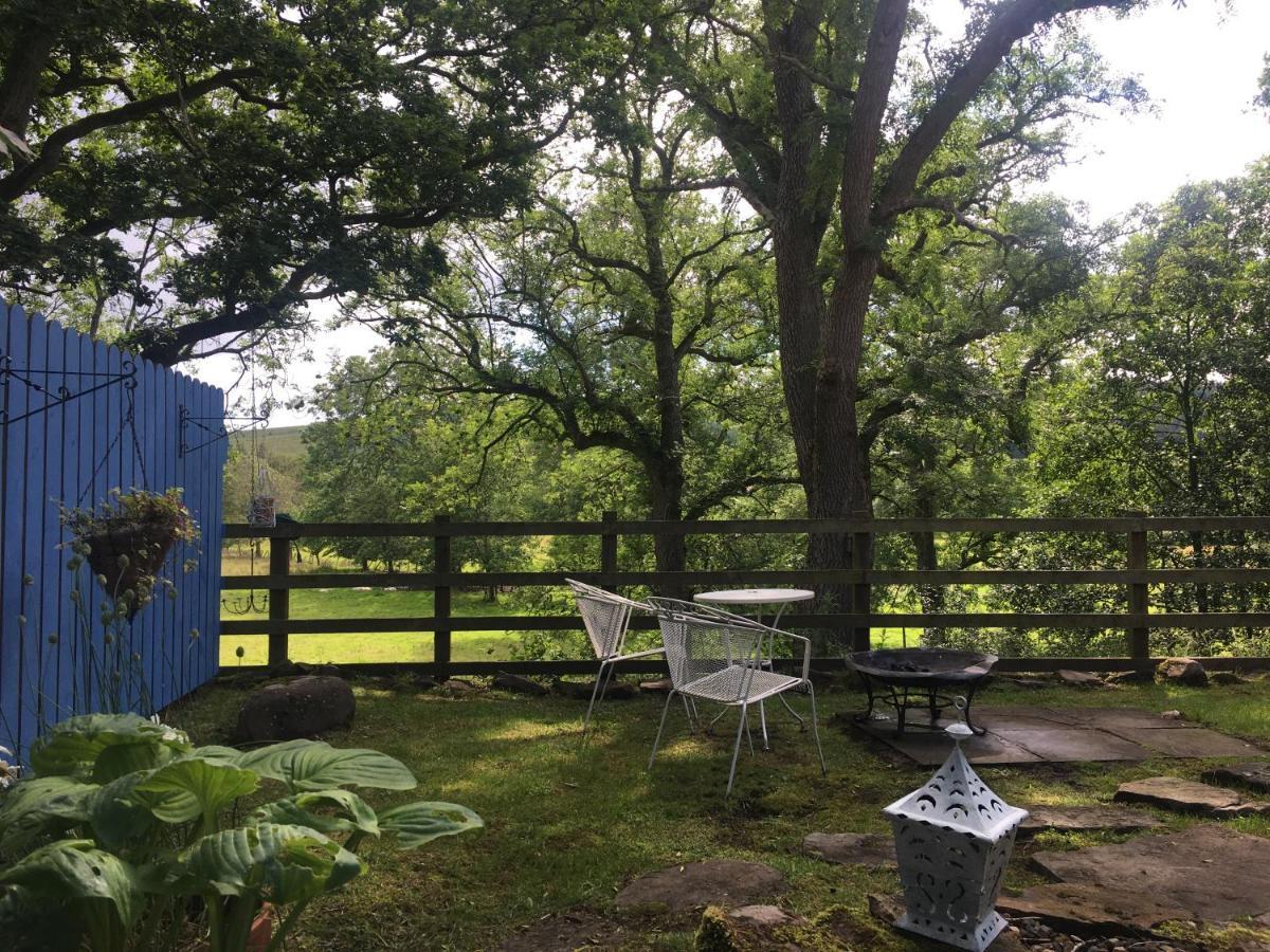 Posh Huts Farmstay Falstone Zewnętrze zdjęcie