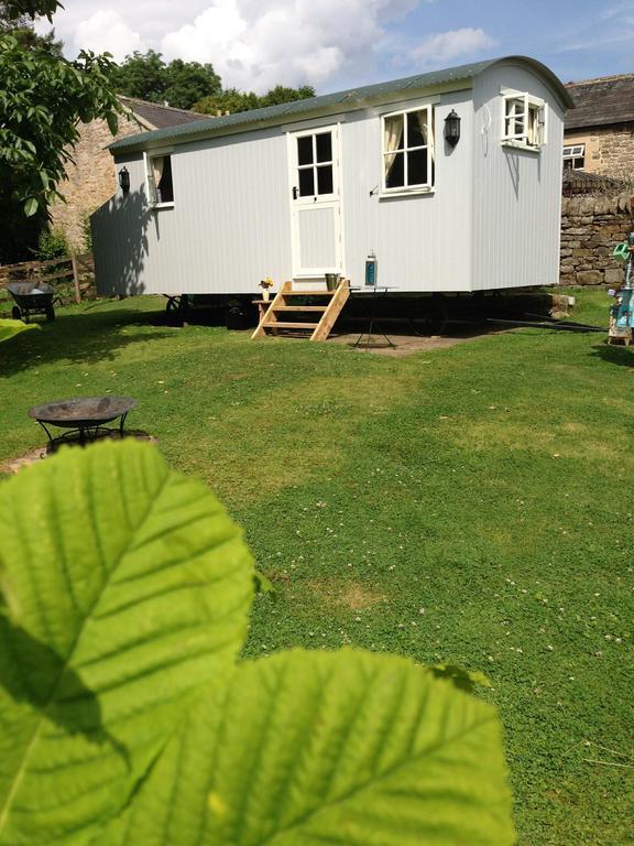 Posh Huts Farmstay Falstone Pokój zdjęcie